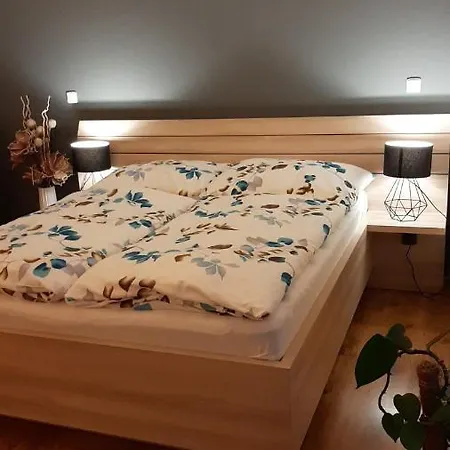 Konevova Lägenhetshotell 4*
