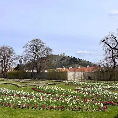 Lägenhetshotell Konevova 4*