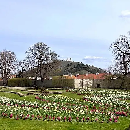 Koněvova