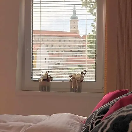 Lägenhetshotell Konevova Mikulov